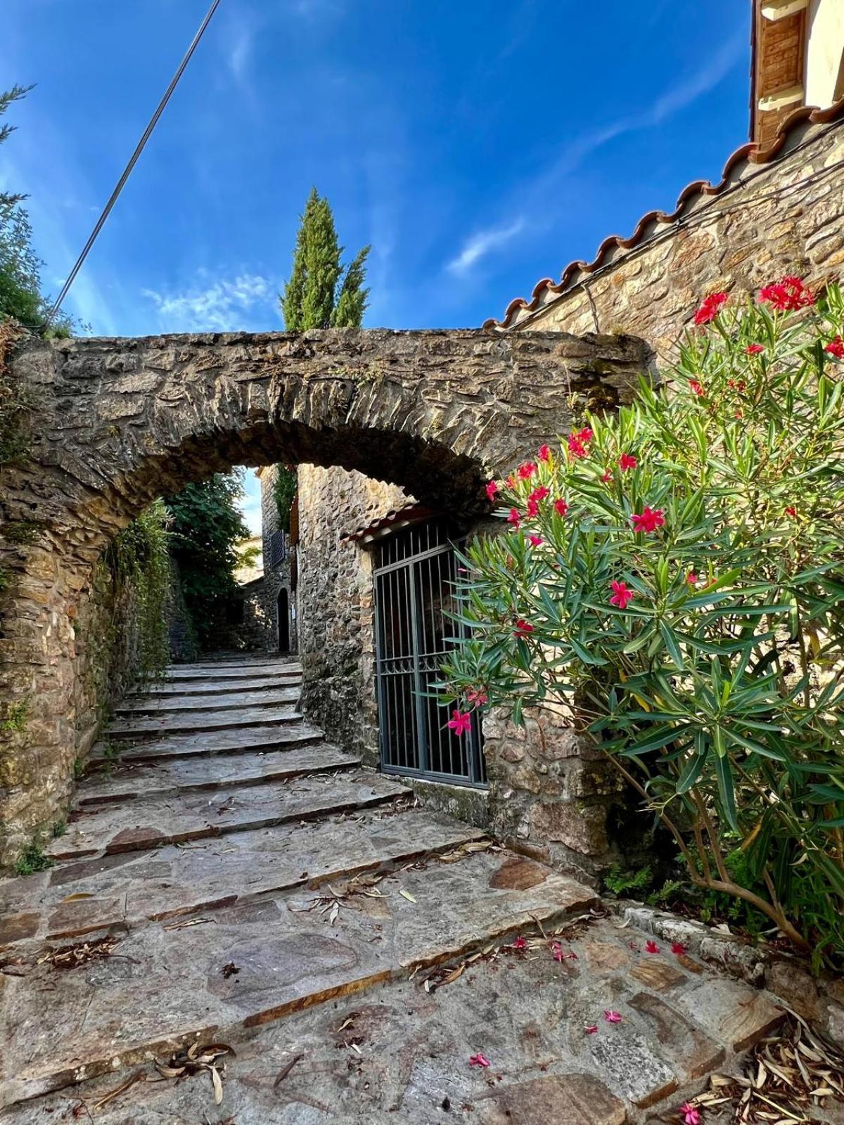 Moulin Gaillard Hotel Bédarieux Buitenkant foto
