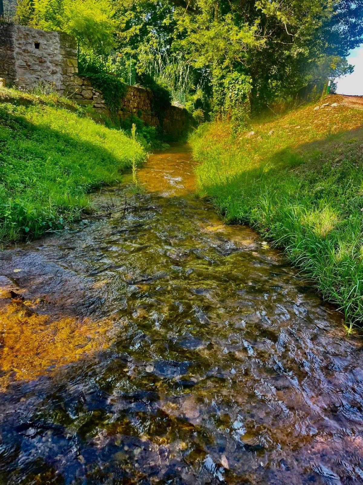 Moulin Gaillard Hotel Bédarieux Buitenkant foto